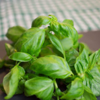 preparazione pesto alla genovese