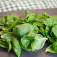 preparazione pesto alla genovese