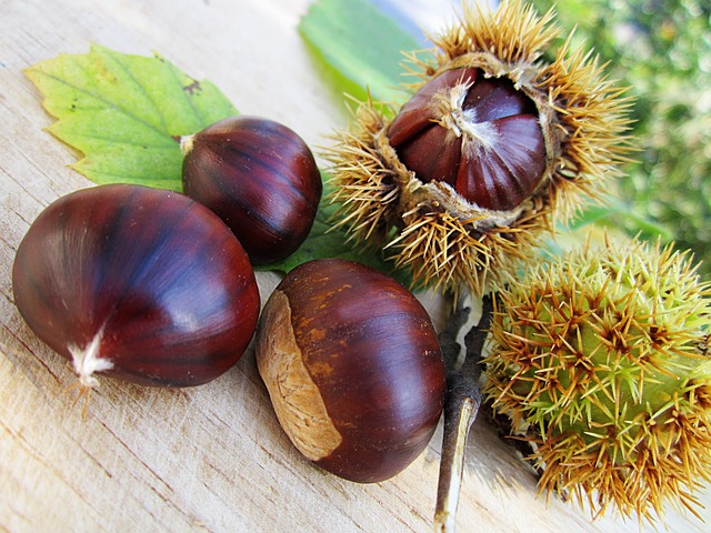 castagne-ricci